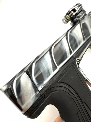 *Project Scales R5: Zebra #2*