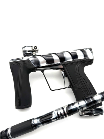 *Project Scales R5: Zebra*